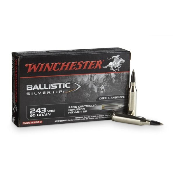 243-Winchester-BST-95-Grain-600x600.jpeg