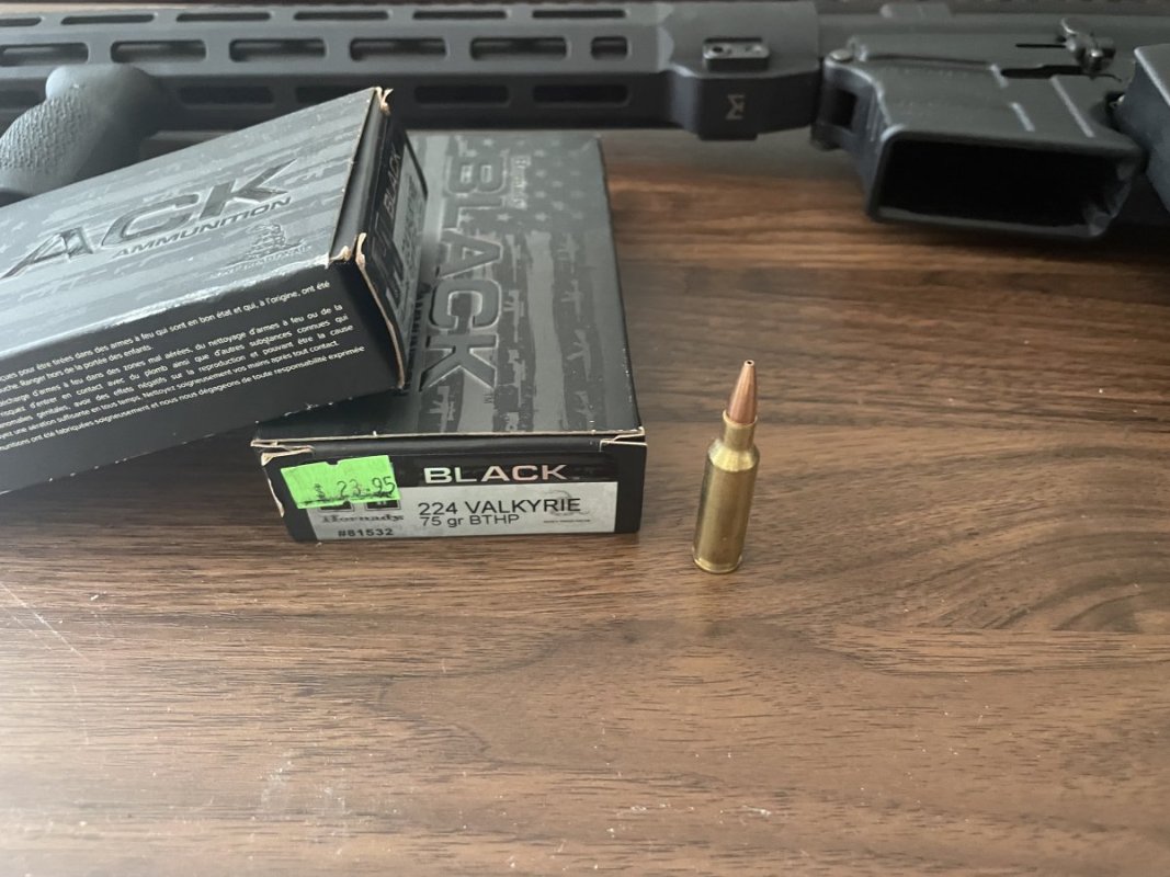 IMG_5841.jpeg IMG_5841.jpeg